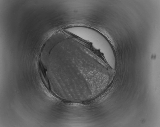 X0000093720393200711060942