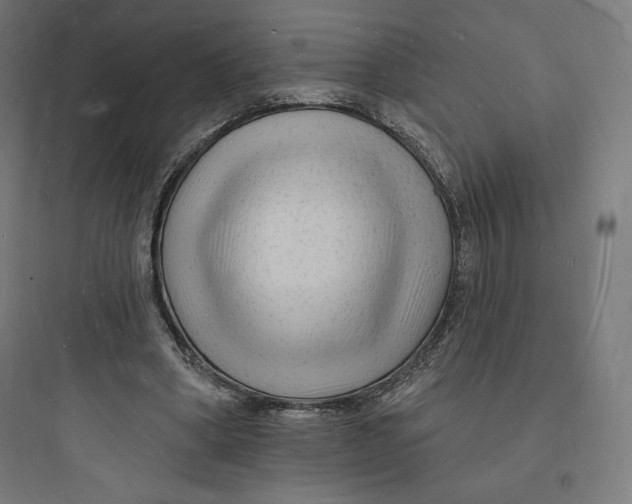 X0000093720394200711060942