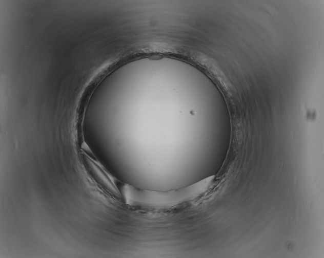 X0000093720395200711060942