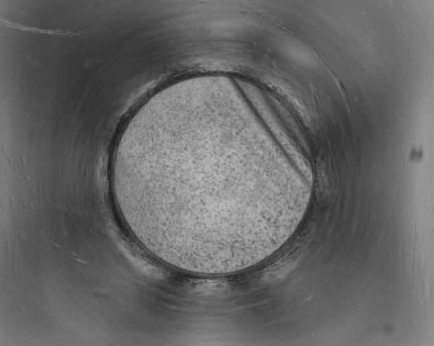 X0000093720398200711060942