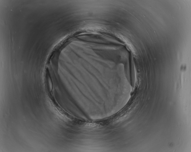 X0000093720399200711060942