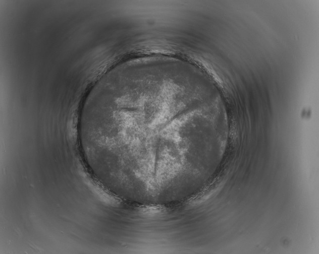 X0000093720402200711060942