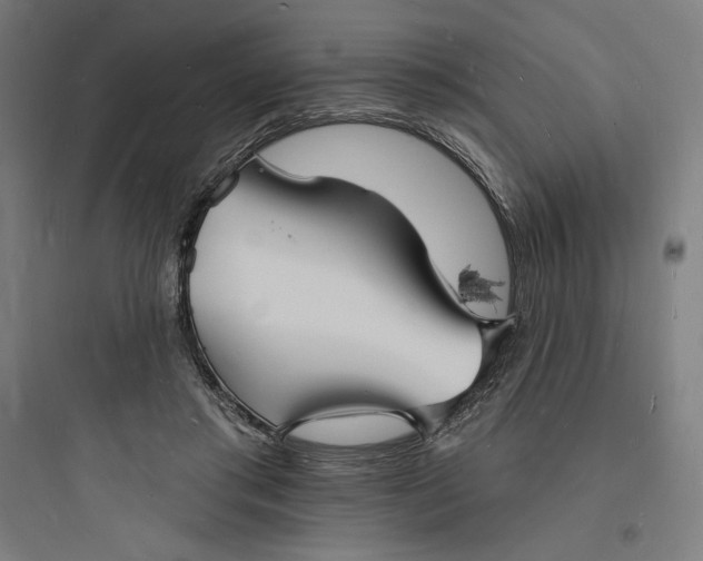 X0000093720405200711060942