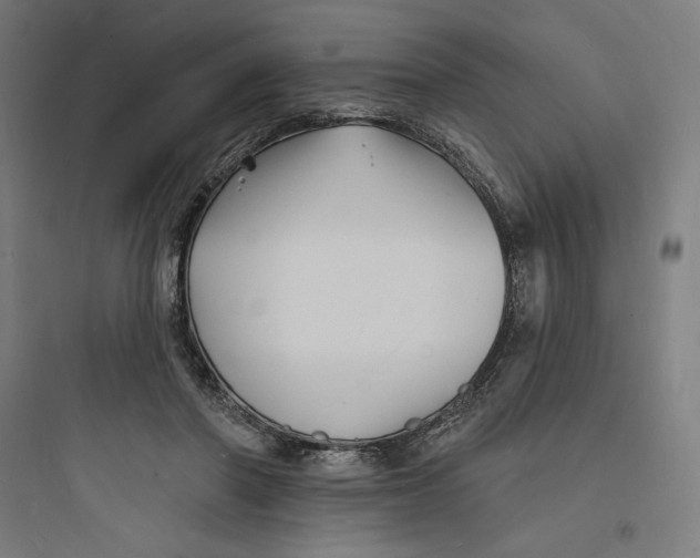 X0000093720406200711060942