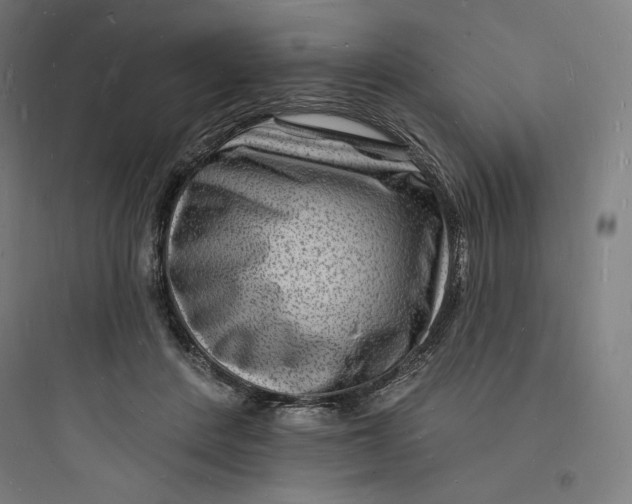 X0000093720408200711060942