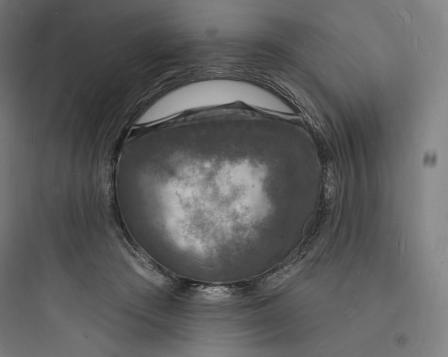 X0000093720409200711060942