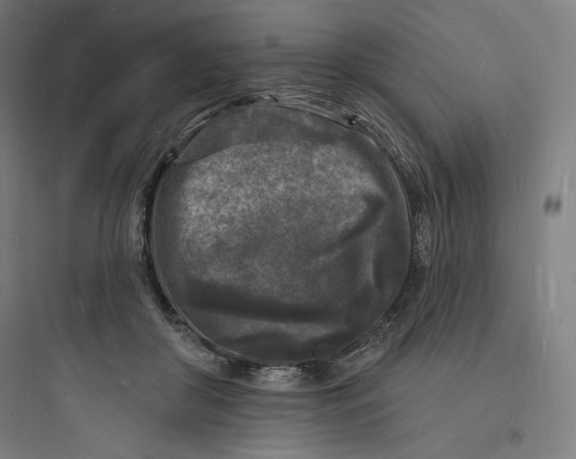 X0000093720410200711060942