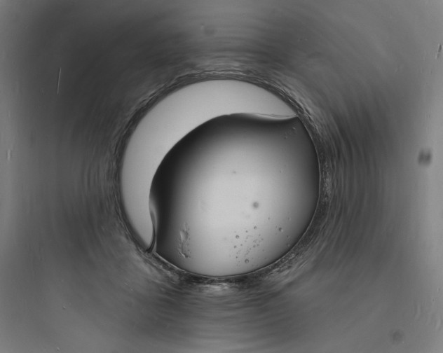 X0000093720411200711060942