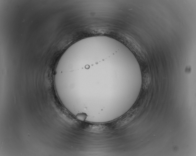 X0000093720414200711060942