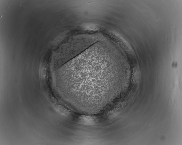 X0000093720417200711060942