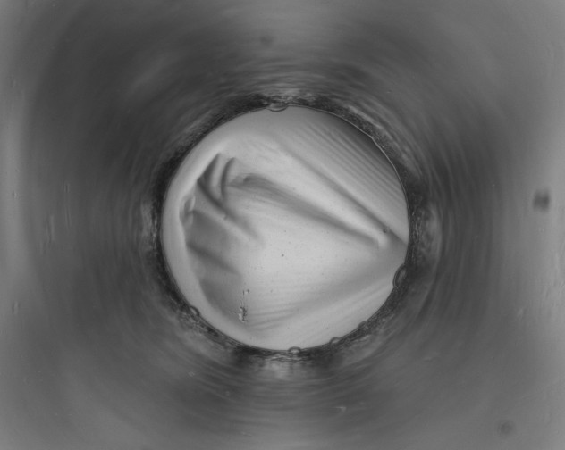 X0000093720420200711060942