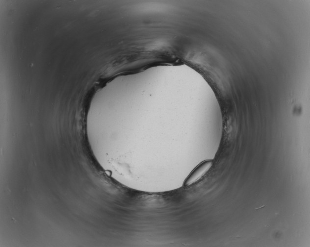 X0000093720424200711060942