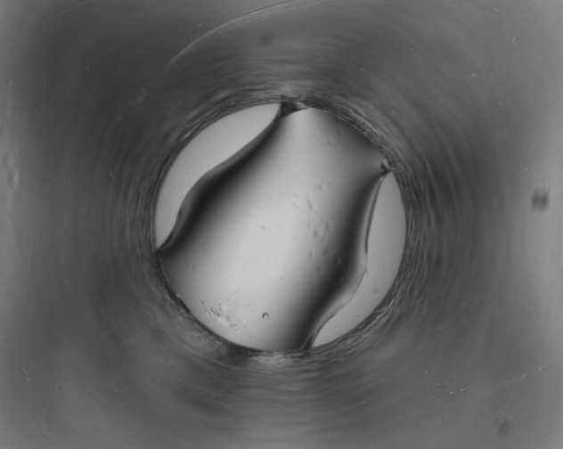 X0000093720425200711060942