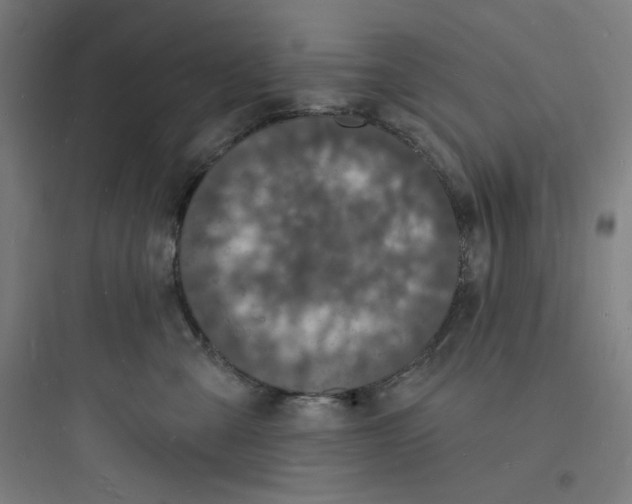 X0000093720427200711060942