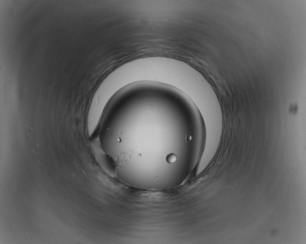 X0000093720428200711060942