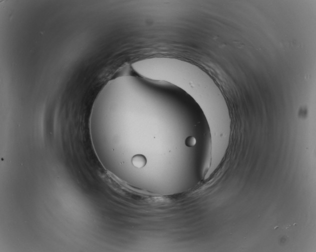 X0000093720429200711060942