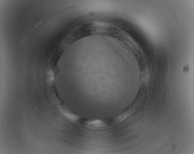 X0000093720431200711060942