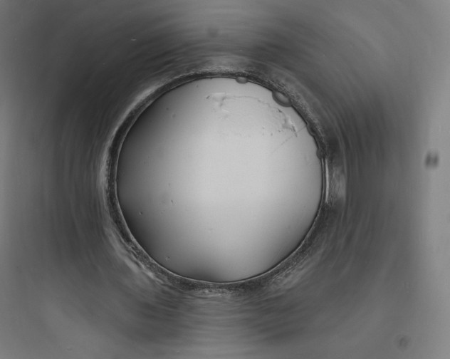 X0000093720435200711060941