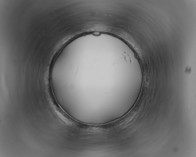 X0000093720437200711060941