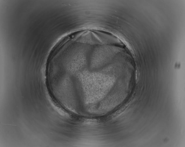 X0000093720438200711060941