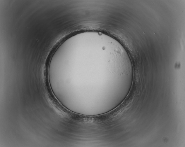 X0000093720439200711060941