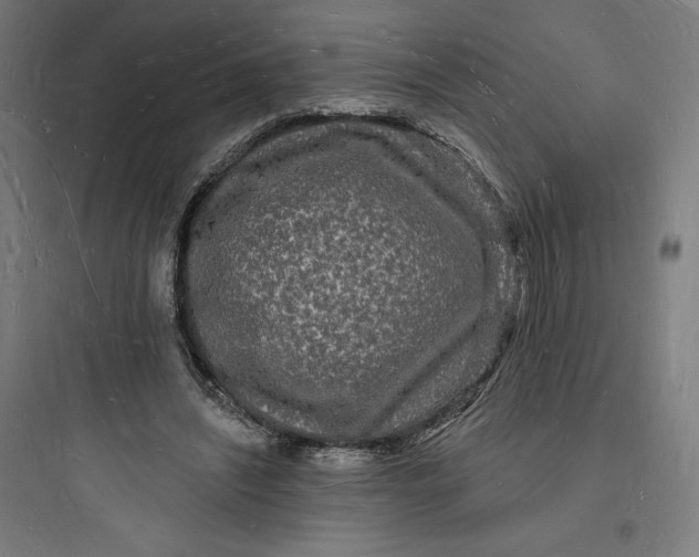 X0000093720444200711060941