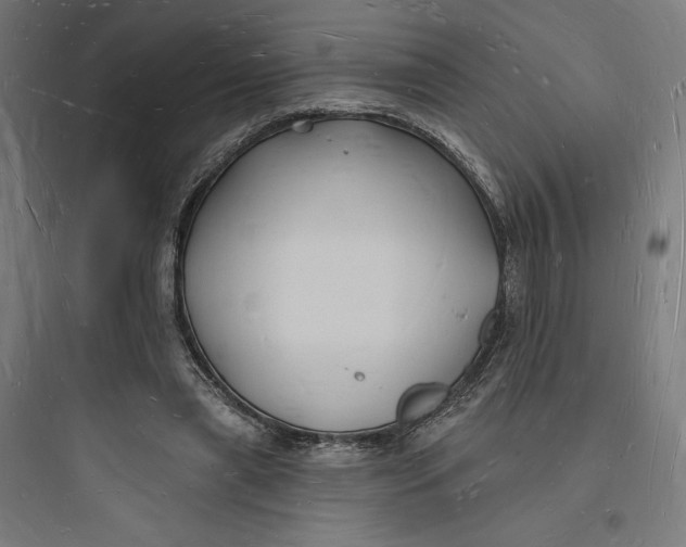 X0000093720445200711060941