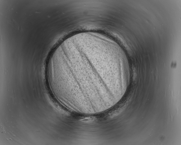 X0000093720447200711060941