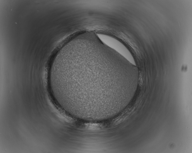 X0000093720448200711060941