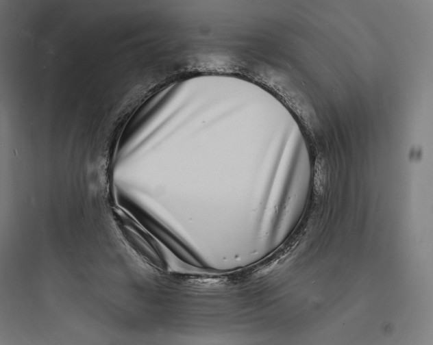 X0000093720449200711060941