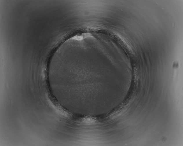 X0000093720451200711060941