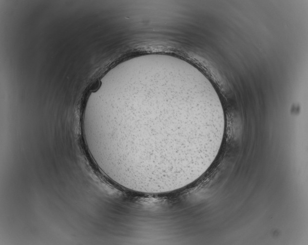 X0000093720453200711060941