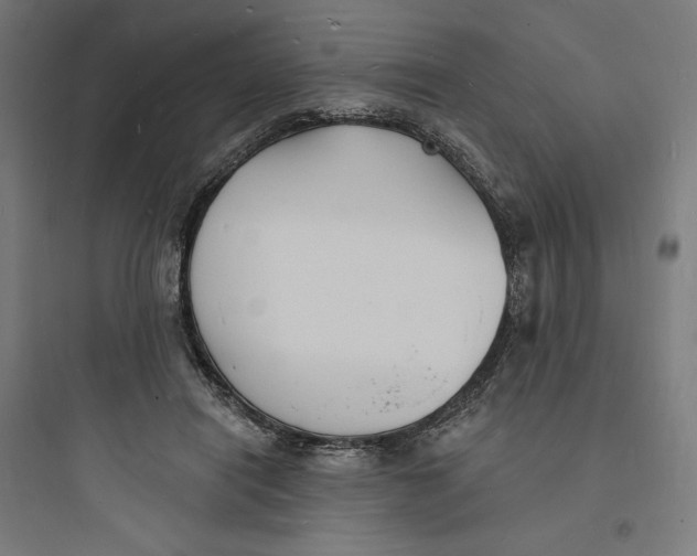 X0000093720454200711060941