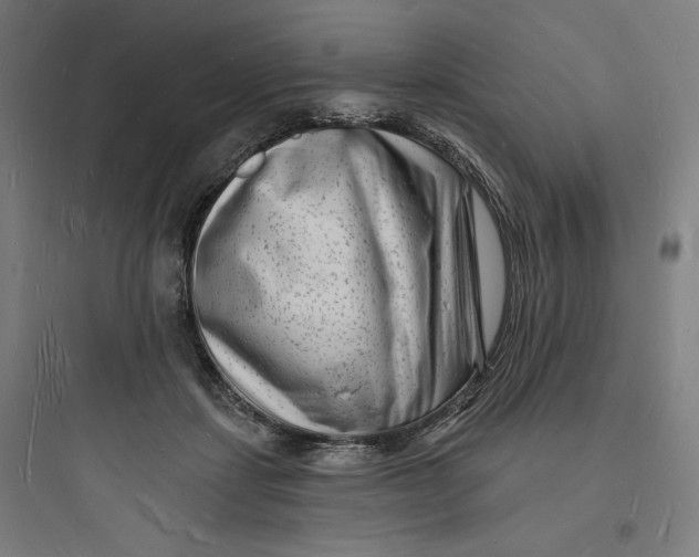 X0000093720459200711060941