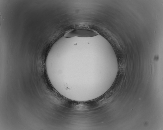 X0000093720460200711060941