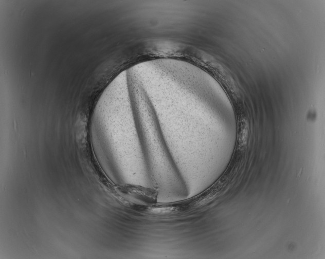 X0000093720461200711060941