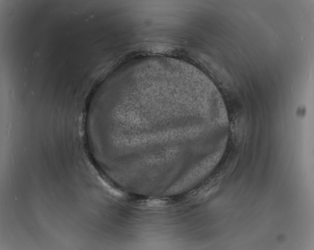 X0000093720462200711060942