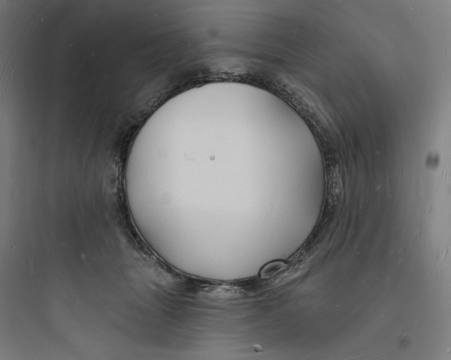 X0000093720463200711060942