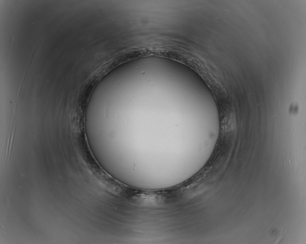 X0000093720464200711060942