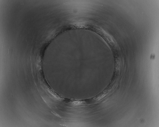 X0000093720465200711060942