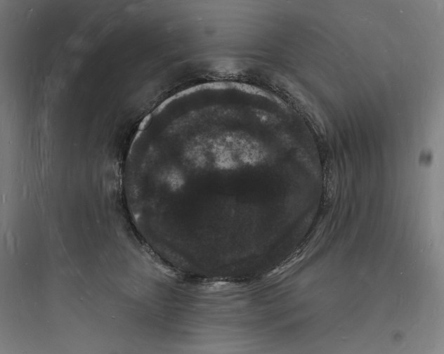 X0000093720467200711060942