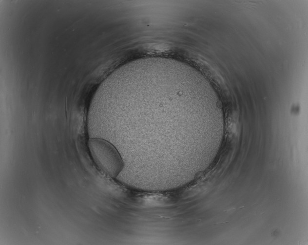 X0000093720468200711060942