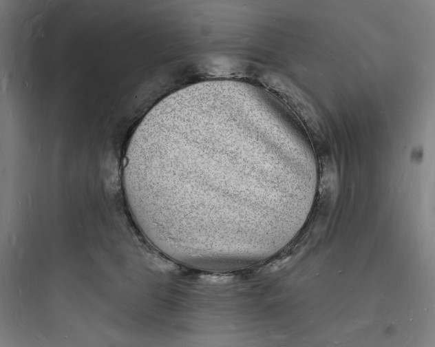 X0000093720469200711060942