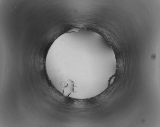 X0000093720470200711060942