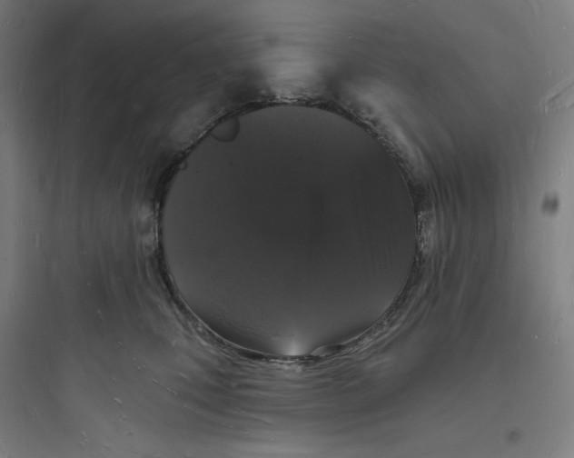 X0000093720471200711060942