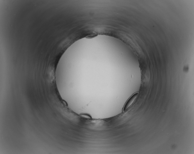 X0000093720478200711060942