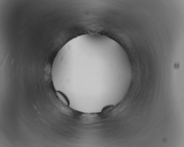 X0000093720480200711060942