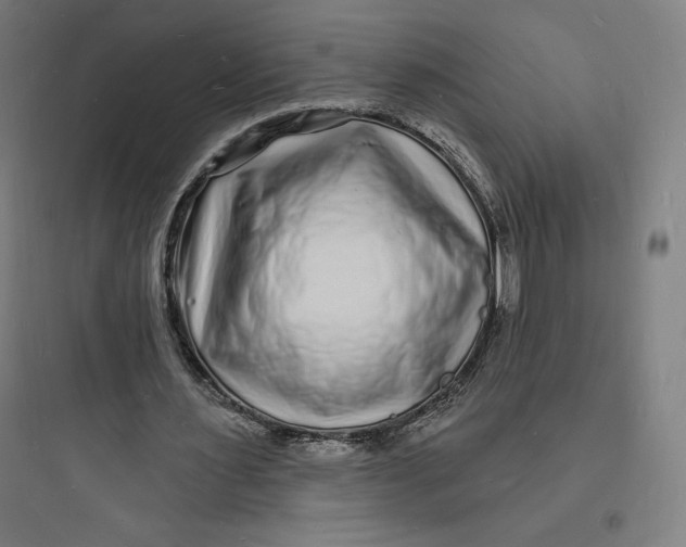 X0000093720483200711060941