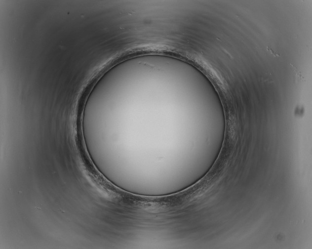 X0000093720486200711060941