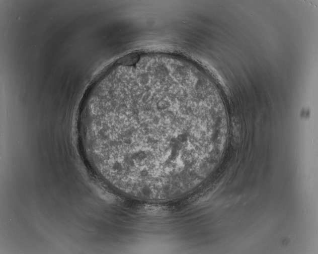 X0000093720487200711060941